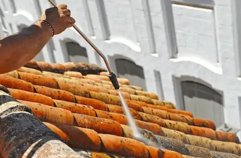 Nettoyage de toitures - Dozulé